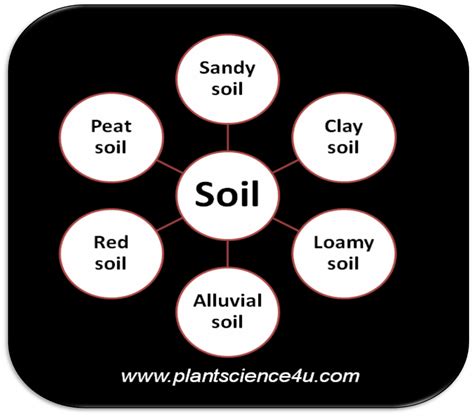 Soil Types: Sandy soil, Clay soil, Loamy soil, Alluvial soil, Red soil, Peat soil