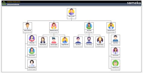 Organogram | Free Download Editable Template