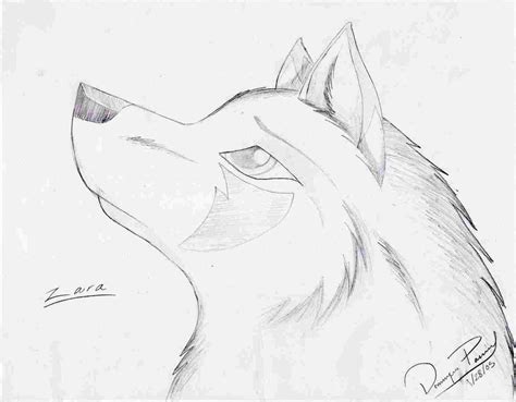 Sad Wolf Drawing at PaintingValley.com | Explore collection of Sad Wolf Drawing