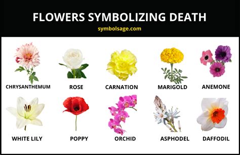 Flowers That Symbolize Death in Different Cultures - Symbol Sage