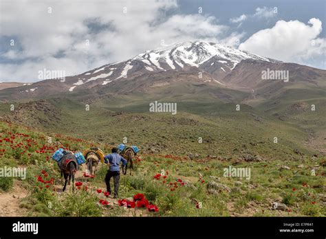 Damavand volcano hi-res stock photography and images - Alamy