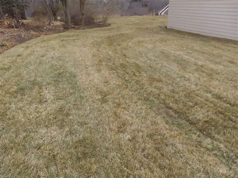 Before and After Sod Installations in Omaha and nearby