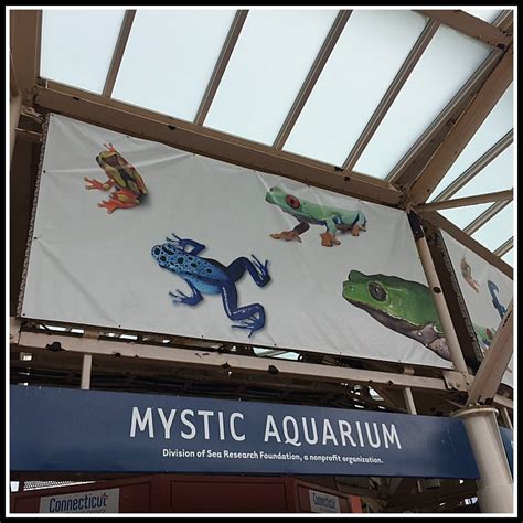 Mystic Aquarium