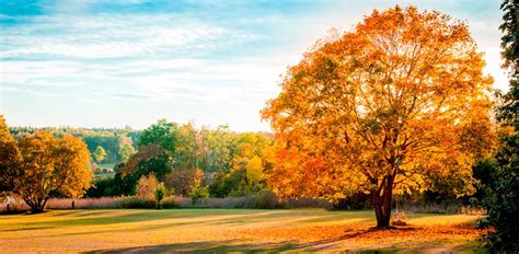 Paisajes bonitos de otoño – Paisajes bonitos – Imagenes fotos wallpaper fondos de escritorio ...