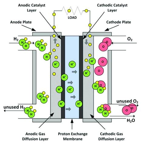 Proton Exchange Membrane Fuel Cell Diagram