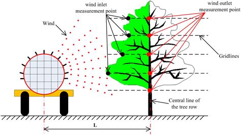 Frontiers | Wind loss model for the thick canopies of orchard trees based on accurate variable ...