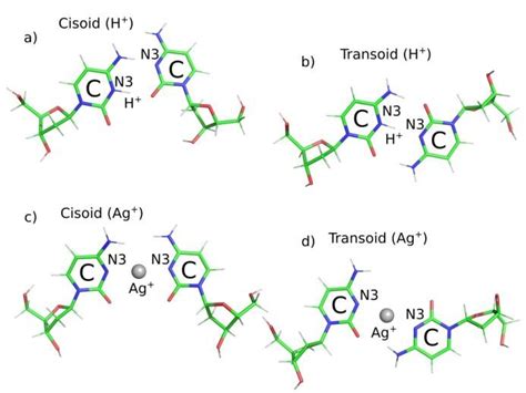 Equilibrium geometries of studied cytidine complexes mediated by Ag ...