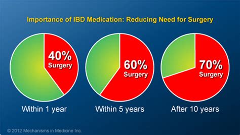 Slide Show - Understanding the Risks and Benefits of IBD Therapies