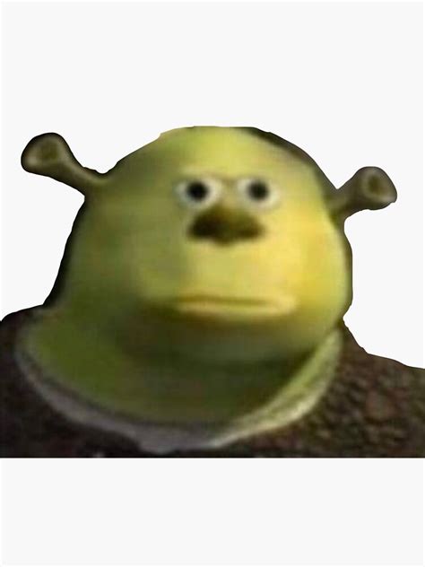 Shrek Meme