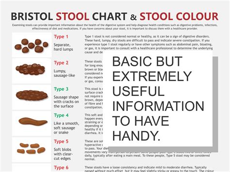 Bristol Stool Scale Poop Types Infographic Stock Vector, 50% OFF