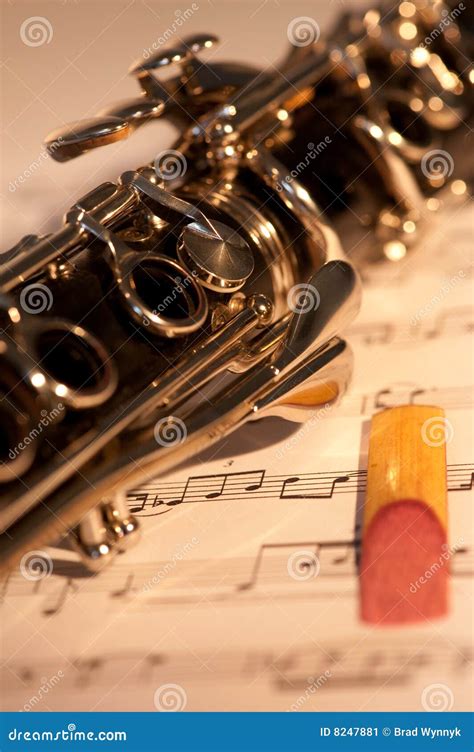 Clarinet and reed stock image. Image of notes, design - 8247881