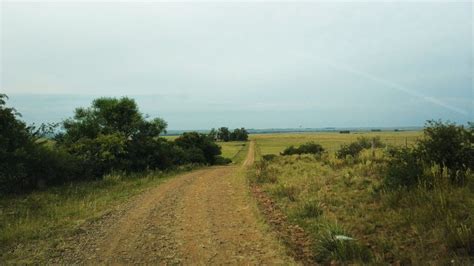 Fly Fishing on the Arapey River in Uruguay - Articles | Fly dreamers