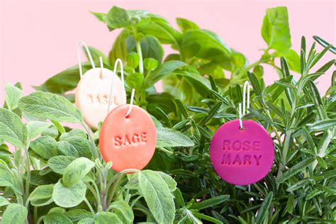 Herb Garden Plant Labels DIY - YES! we made this