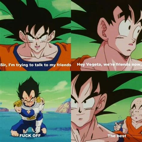 Vegeta and Goku Dragon Balls, Dragon Ball Art, Dragon Ball Super, Dbz Memes, Funny Memes, Funny ...