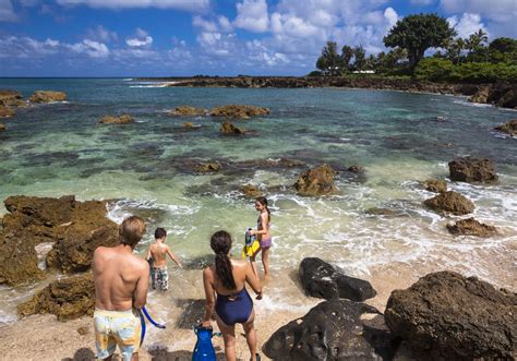 sharks cove oahu winter - Preeminence Log-Book Picture Library