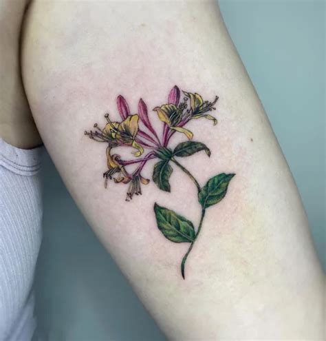 61 Honeysuckle Flower Tattoo Designs To Blossom In 2024