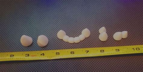 Rounded Fursuit Teeth Set - Etsy