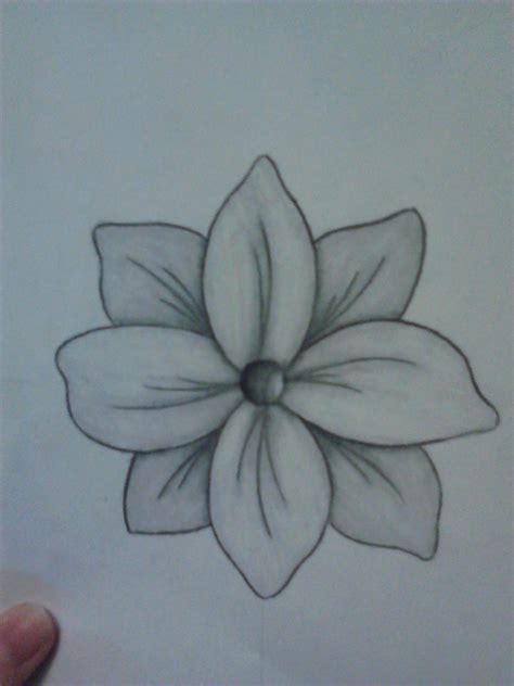 Simple Easy Flower Drawings In Pencil