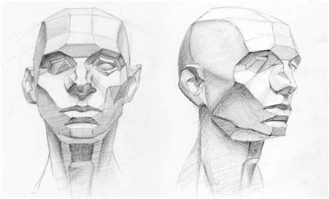 My journey into art: anatomy of the skull and planes of the head | Illustration: Anatomy Planes ...