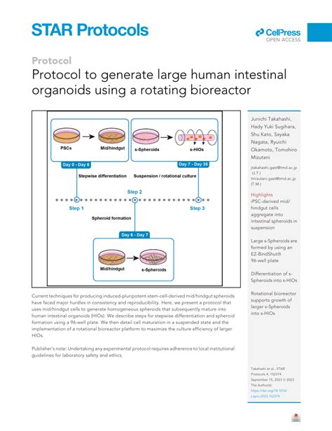 (PDF) Protocol to generate large human intestinal organoids using a ...