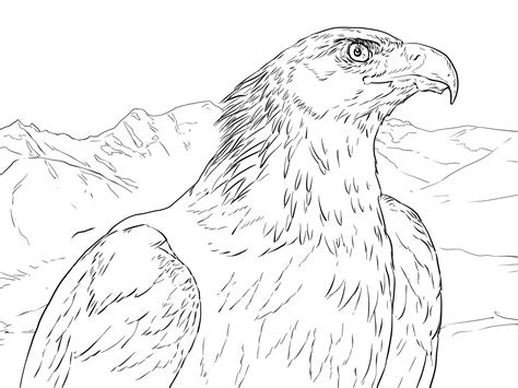 Golden Eagle Realistic Eagle Coloring Pages - pic-corn