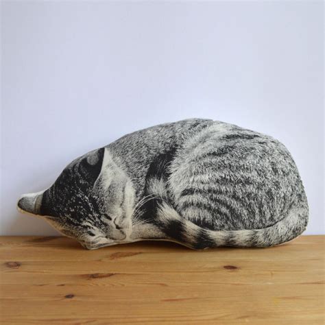 Sleeping Cat Pillow | The Green Head