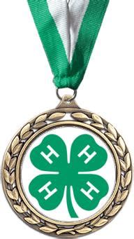 4-H Youth and Adult Awards – Extension Dunn County