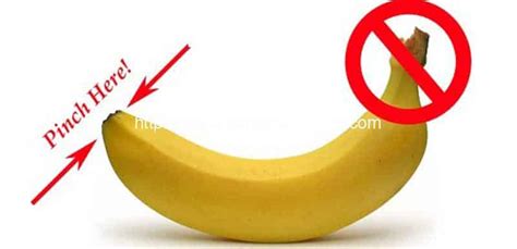 How to Use Banana Peel or Banana Skin | Plantain Banana Processing Machine Manufacture and Supplier