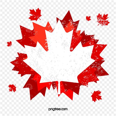 Canada Flag Leaf Png