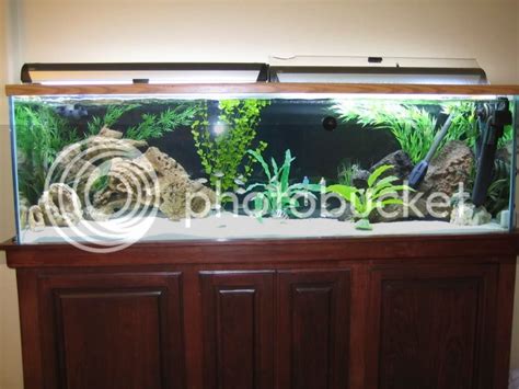 125 gallon custom stand | Cichlid Fish Forum