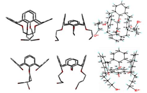 X-ray crystal structures of monobridged calixarene 9 (top) and... | Download Scientific Diagram