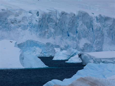 Why are glaciers and sea ice melting? | Pages | WWF