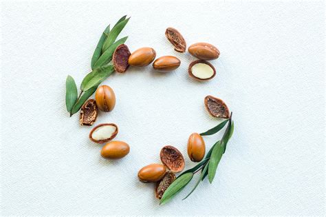 Premium Photo | Argan seeds isolated on a white background. argan oil ...