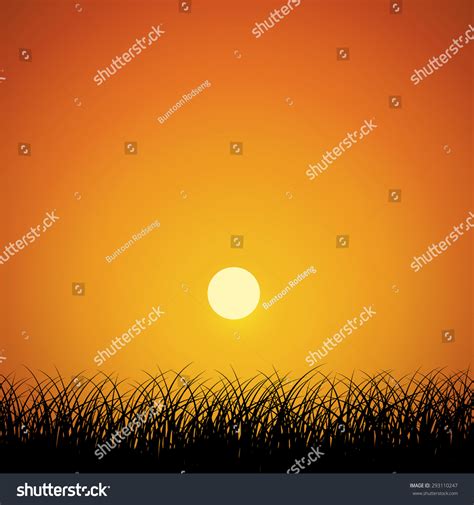 Silhouette Grass Lawn Sunrise Sky Background Stock Vector (Royalty Free) 293110247 | Shutterstock