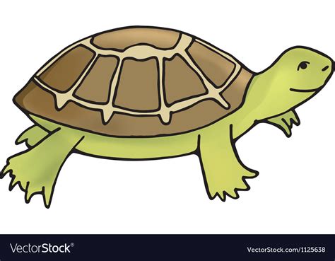 Tortoise Royalty Free Vector Image - VectorStock