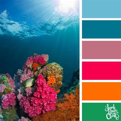 25 Color Palettes Inspired by Ocean Life and PANTONE Living Coral