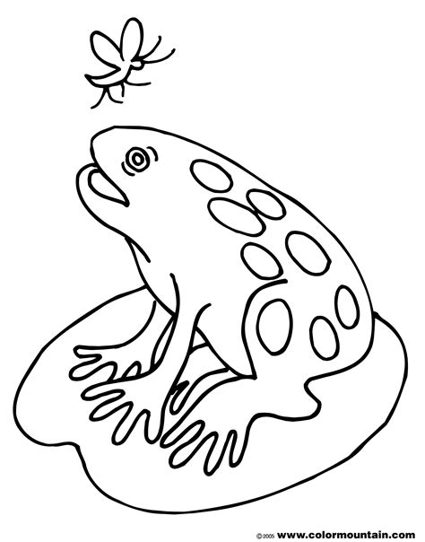 Frog On Lily Pad Drawing at GetDrawings | Free download