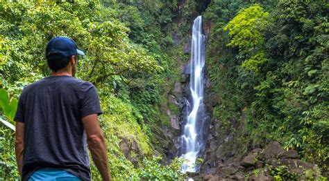 Fort Young Hotel 5 Dominica Waterfalls Worth Chasing