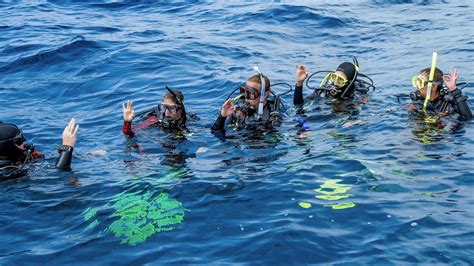 PADI Divemaster Requirements | Prerequisites and Skills