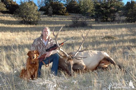 My 2013 Bull Elk and my .300 Weatherby | AfricaHunting.com