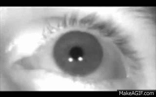 Eye movements - Blink and Saccades at 600 frames per second on Make a GIF