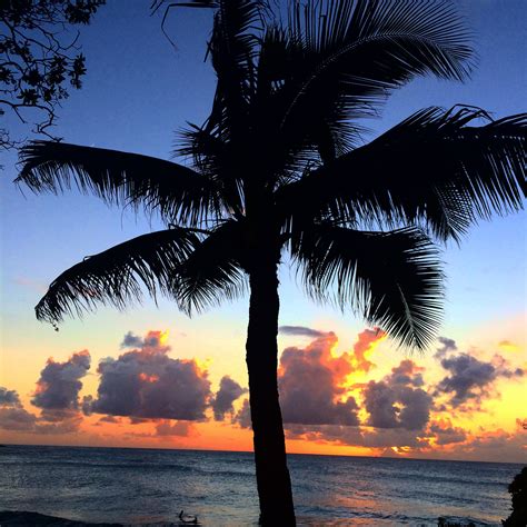 Turtle Bay sunsets in oahu | Sunset, Turtle bay, Oahu