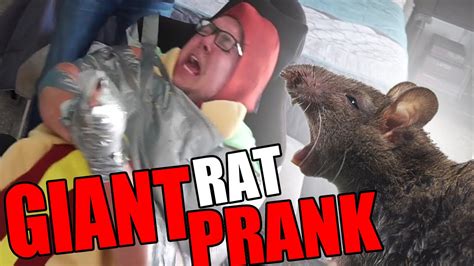 GIANT RAT PRANK! - YouTube