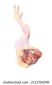 Chicken Leg On White Background Stock Photo 2111704298 | Shutterstock