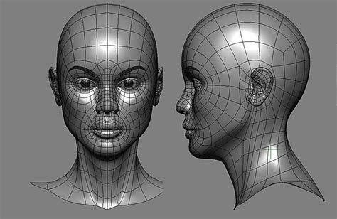 Celebrity Face Reference For 3d Modeling