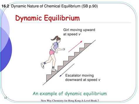 PPT - Dynamic Equilibrium PowerPoint Presentation, free download - ID:5084939