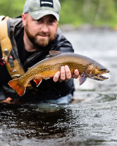 Fly Fishing Maine's Rapid River | Eastbound and Trout