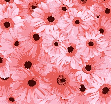 Pink Flowers Background Free Stock Photo - Public Domain Pictures