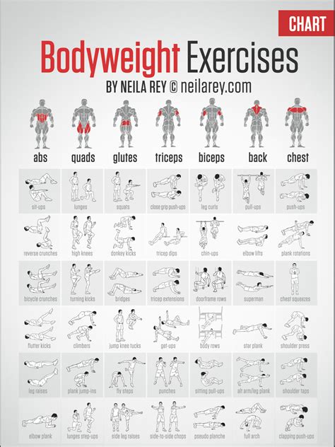 Workout Routines Chart