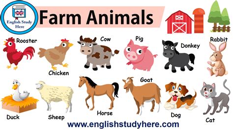 Farm Animals in English - English Study Here